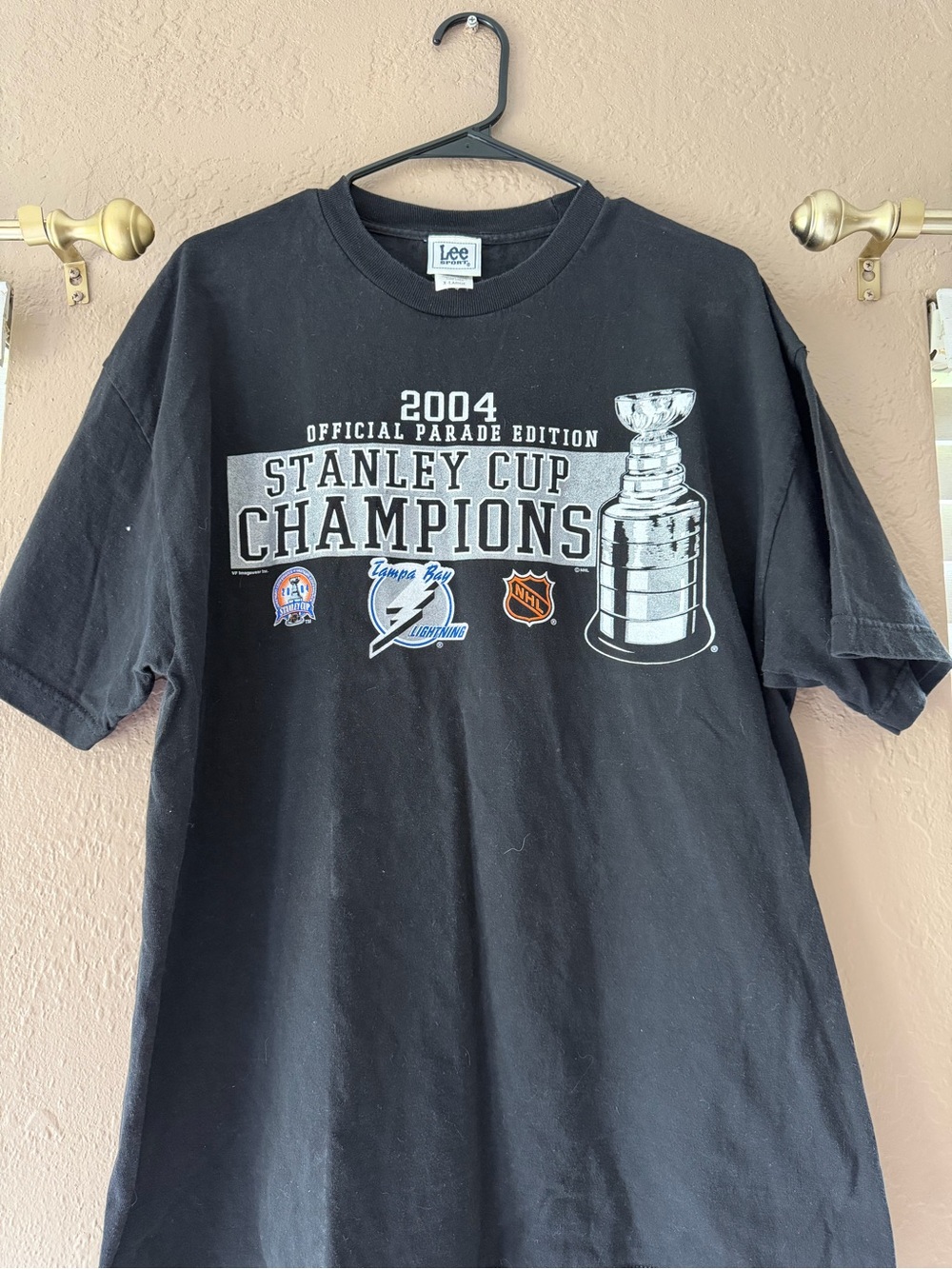 2004 Lee Sports Tampa Bay Lightning Stanley Cup Champions Graphic T-Shirt